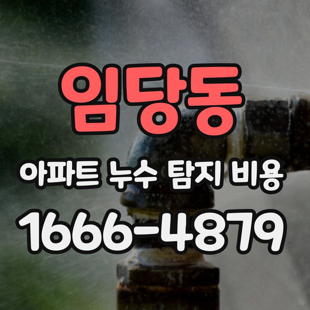 임당동 아파트 누수 탐지 비용