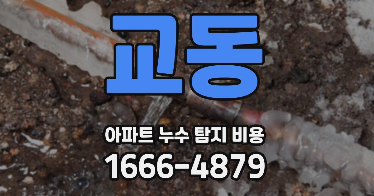 교동 아파트 누수 탐지 비용