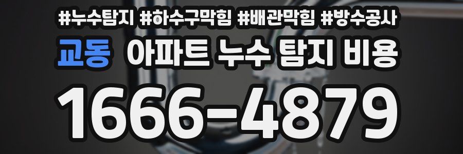 교동 아파트 누수 탐지 비용