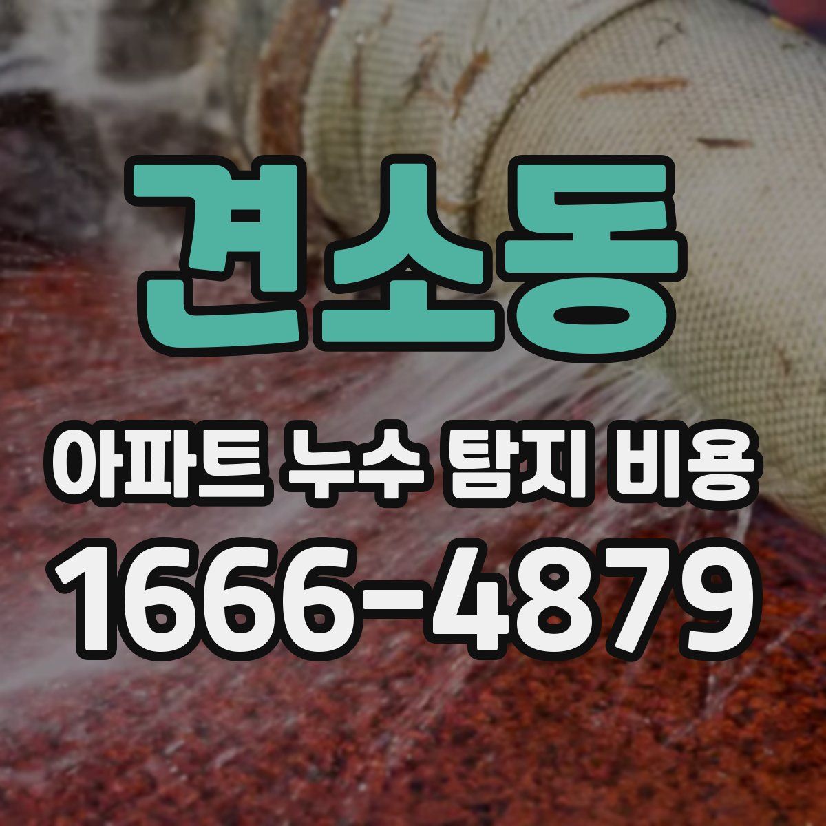 견소동 아파트 누수 탐지 비용