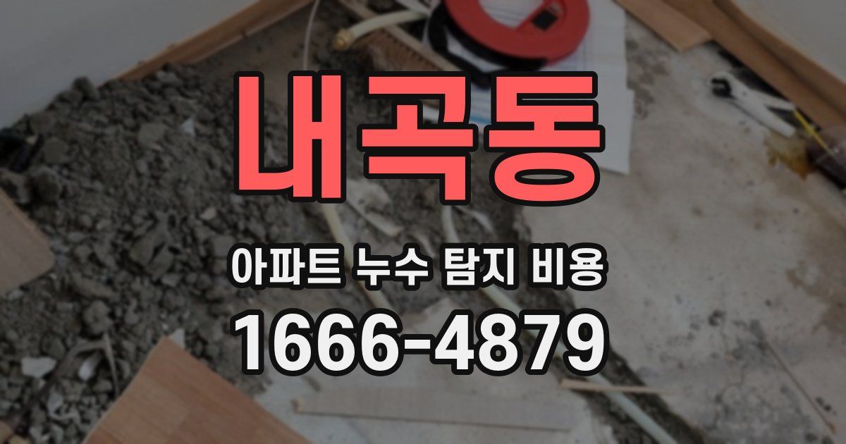 내곡동 아파트 누수 탐지 비용
