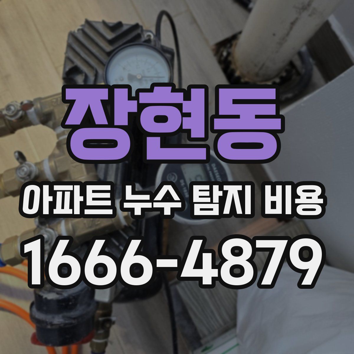 장현동 아파트 누수 탐지 비용