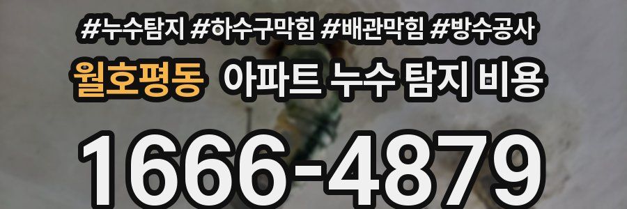 월호평동 아파트 누수 탐지 비용