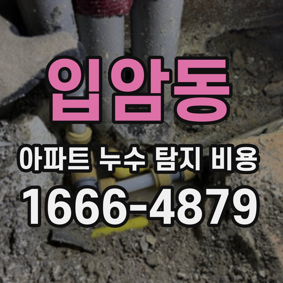 입암동 아파트 누수 탐지 비용