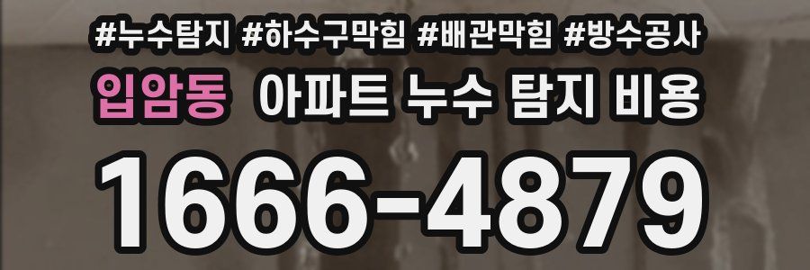 입암동 아파트 누수 탐지 비용