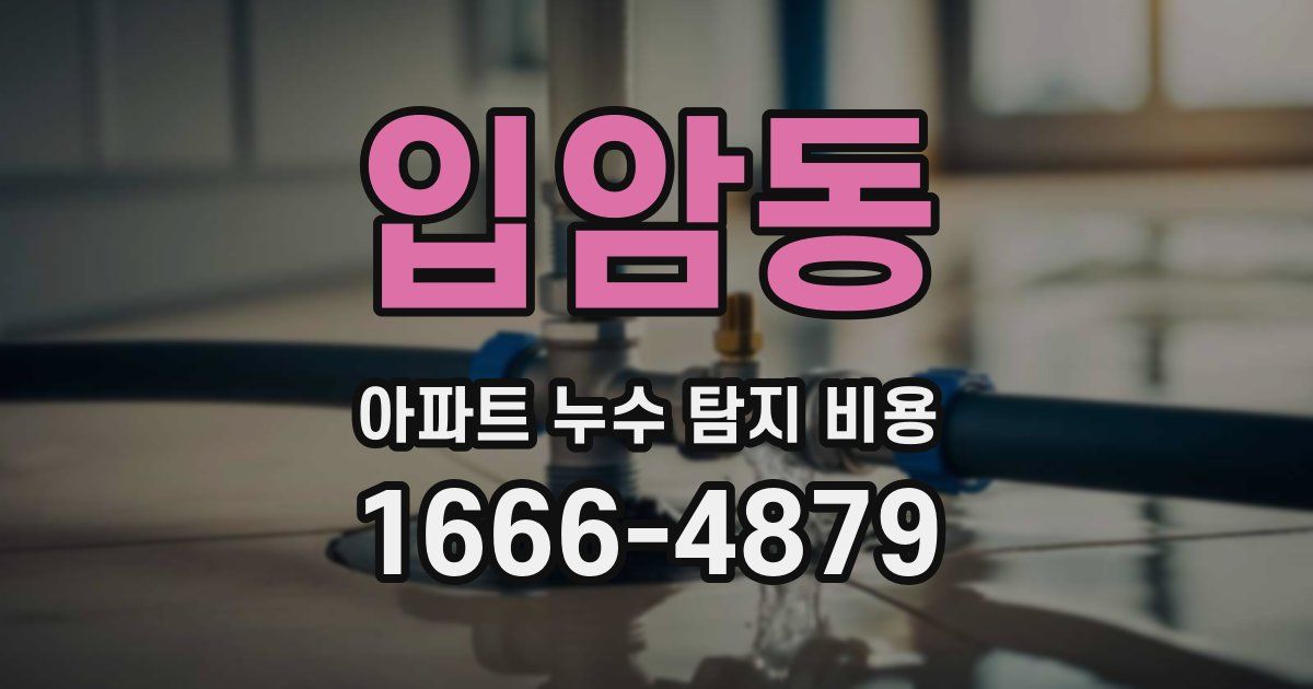 입암동 아파트 누수 탐지 비용