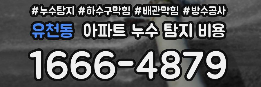 유천동 아파트 누수 탐지 비용