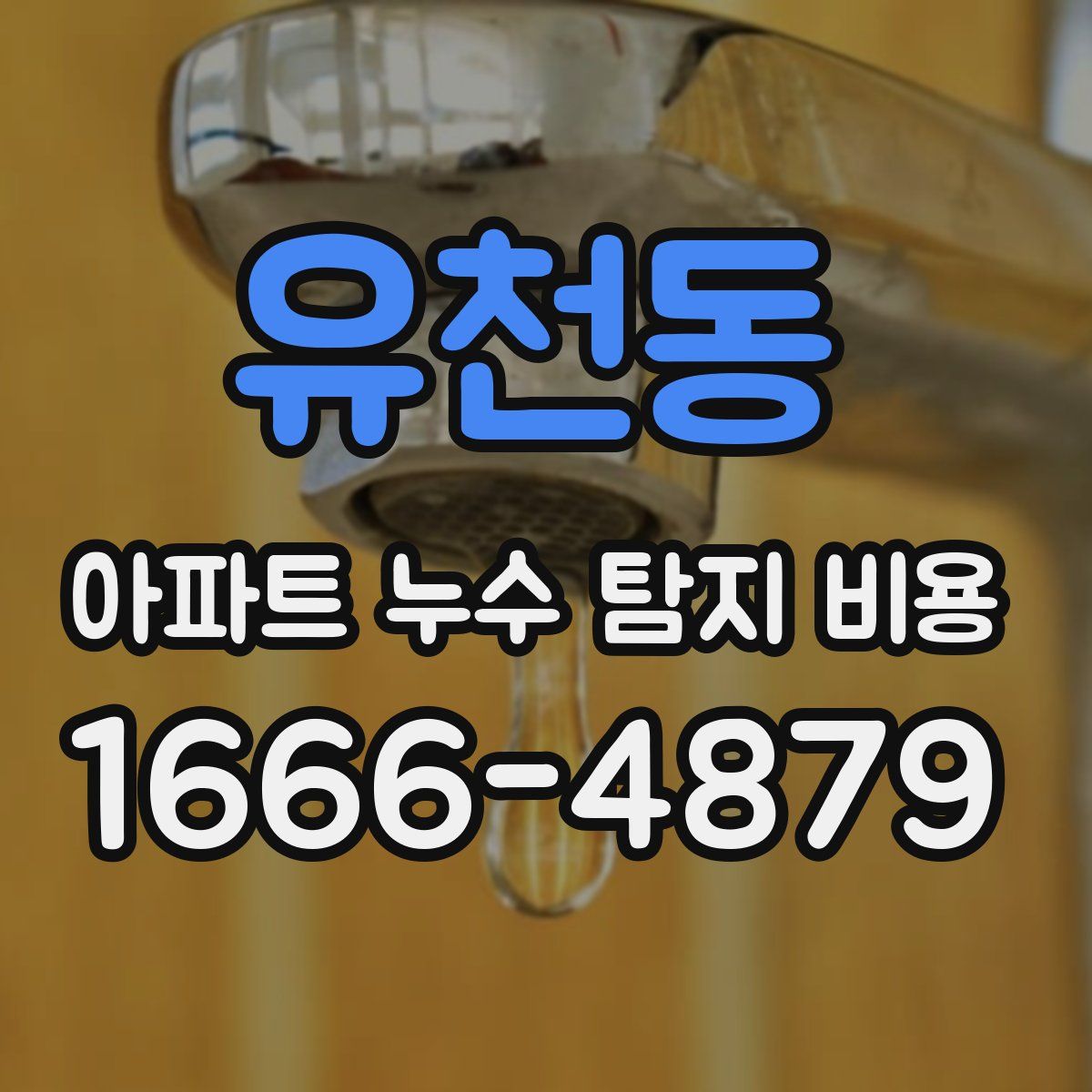 유천동 아파트 누수 탐지 비용