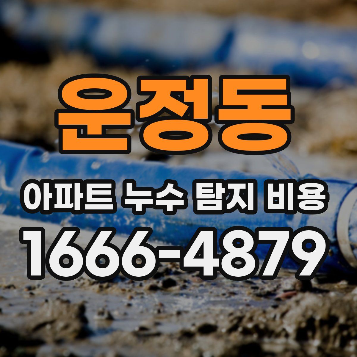 운정동 아파트 누수 탐지 비용