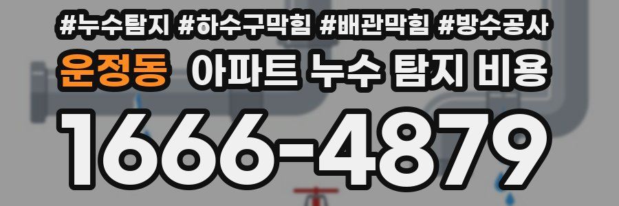 운정동 아파트 누수 탐지 비용