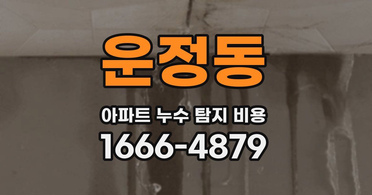 운정동 아파트 누수 탐지 비용