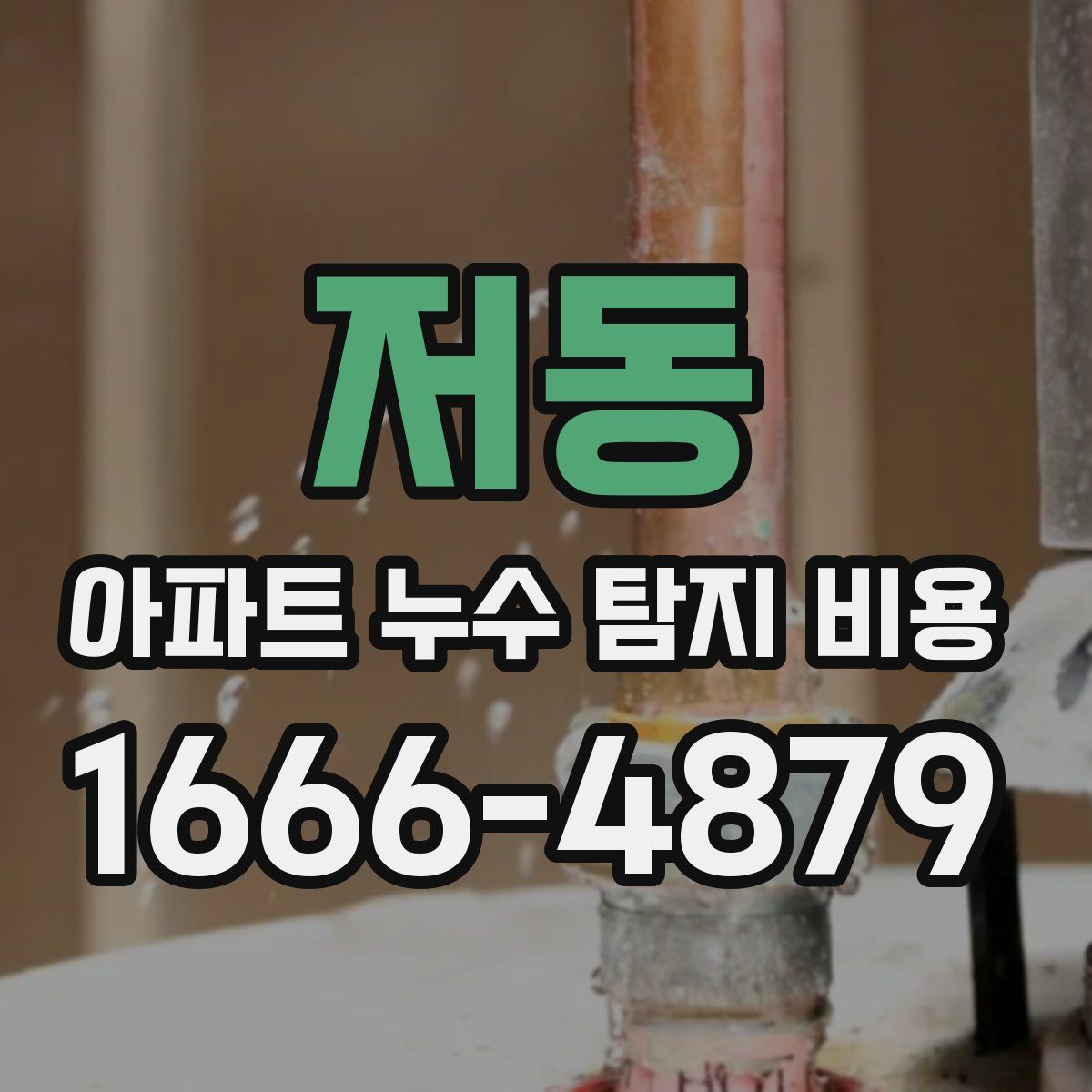 저동 아파트 누수 탐지 비용