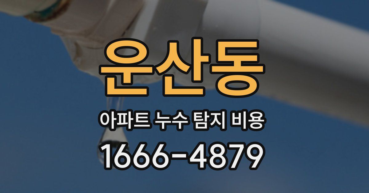 운산동 아파트 누수 탐지 비용