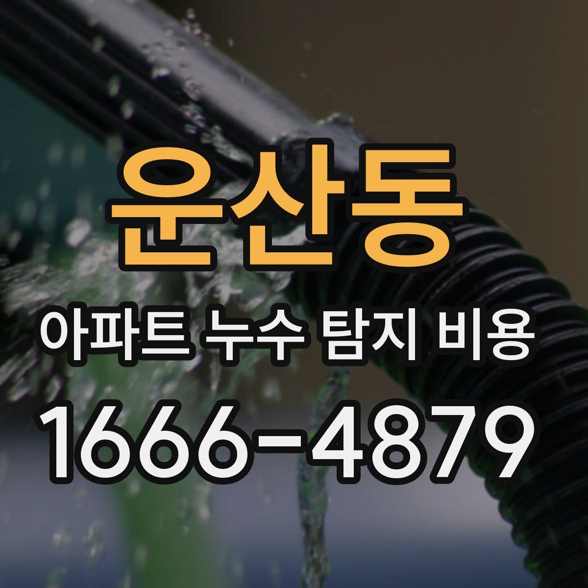 운산동 아파트 누수 탐지 비용