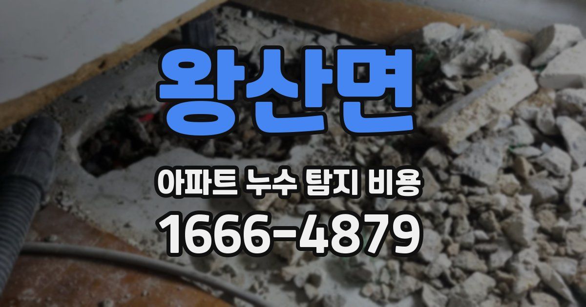 왕산면 아파트 누수 탐지 비용