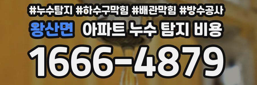 왕산면 아파트 누수 탐지 비용
