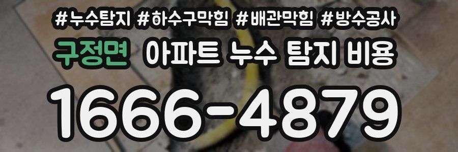 구정면 아파트 누수 탐지 비용