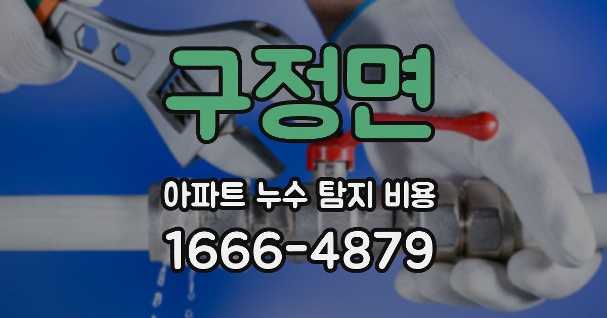 구정면 아파트 누수 탐지 비용