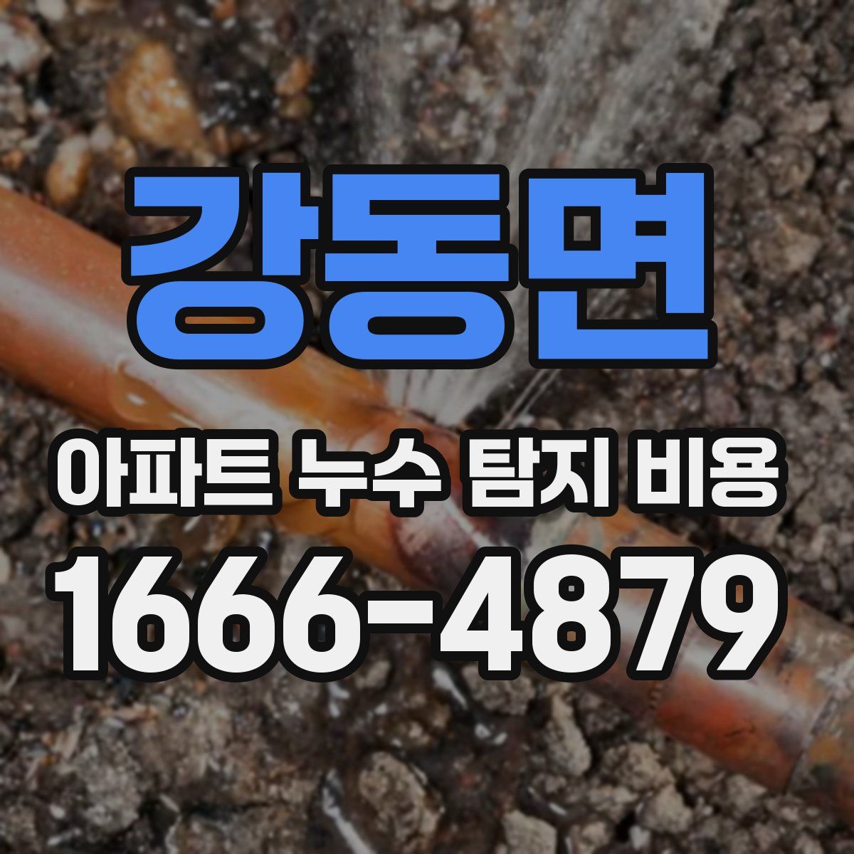 강동면 아파트 누수 탐지 비용