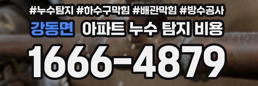 강동면 아파트 누수 탐지 비용