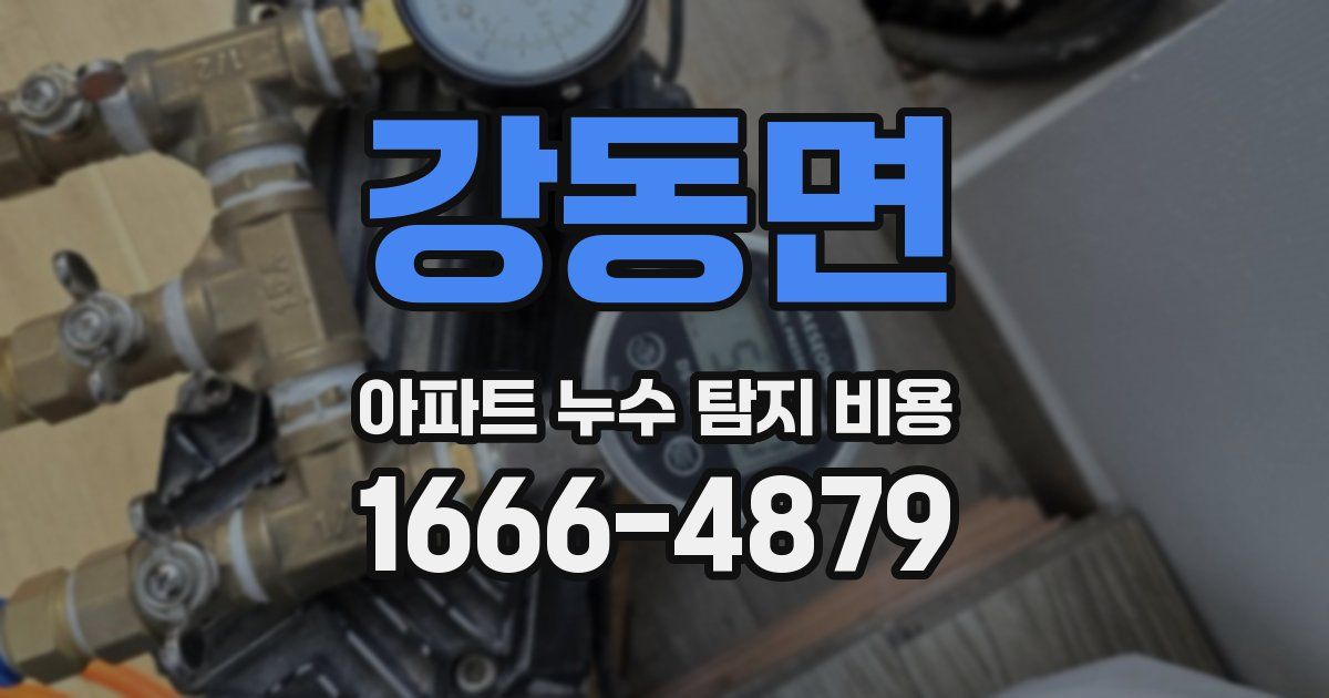강동면 아파트 누수 탐지 비용