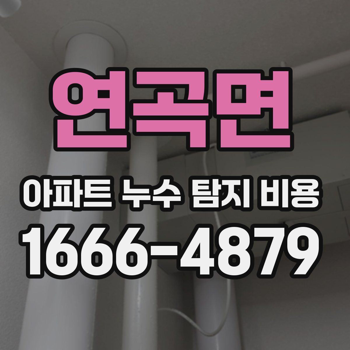 연곡면 아파트 누수 탐지 비용