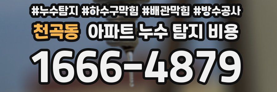 천곡동 아파트 누수 탐지 비용