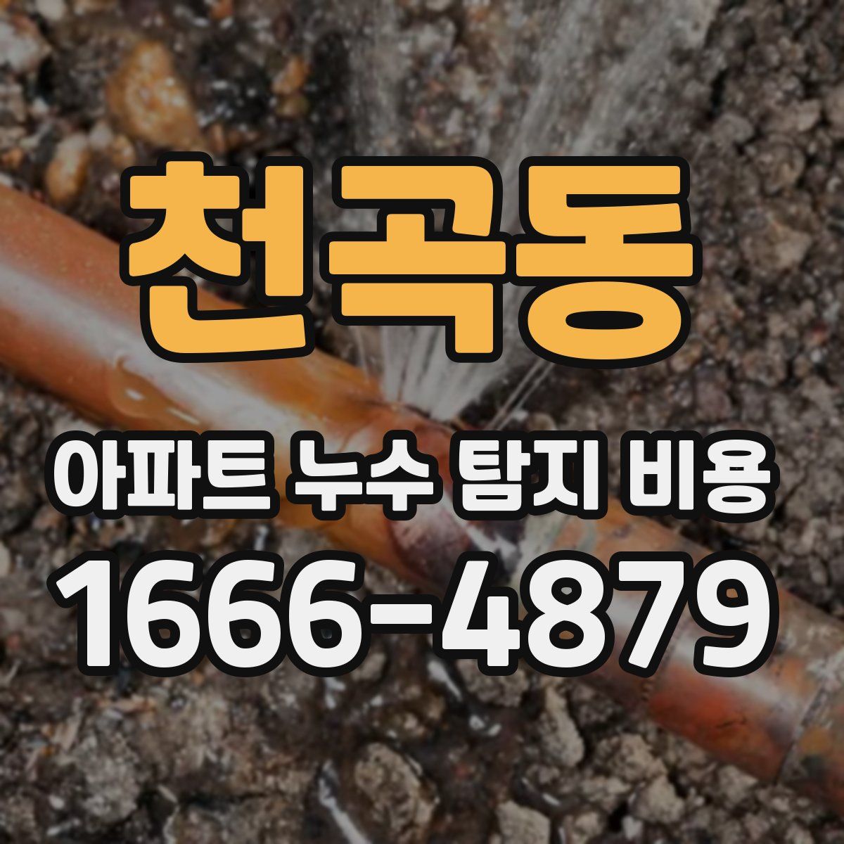 천곡동 아파트 누수 탐지 비용
