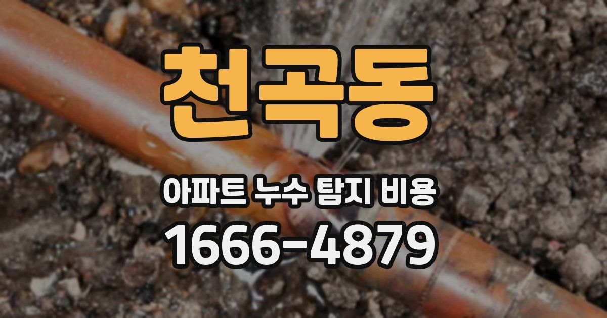 천곡동 아파트 누수 탐지 비용