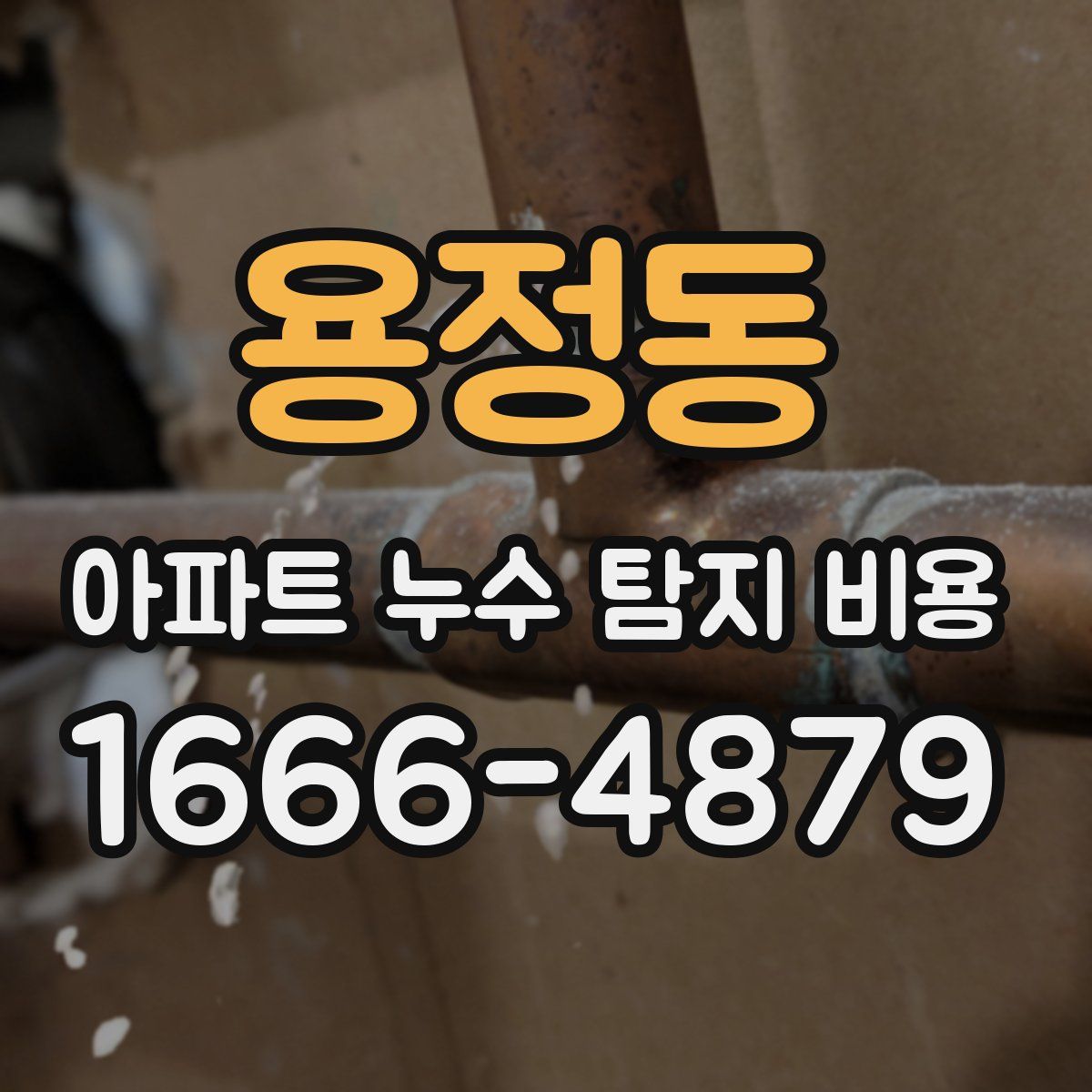 용정동 아파트 누수 탐지 비용