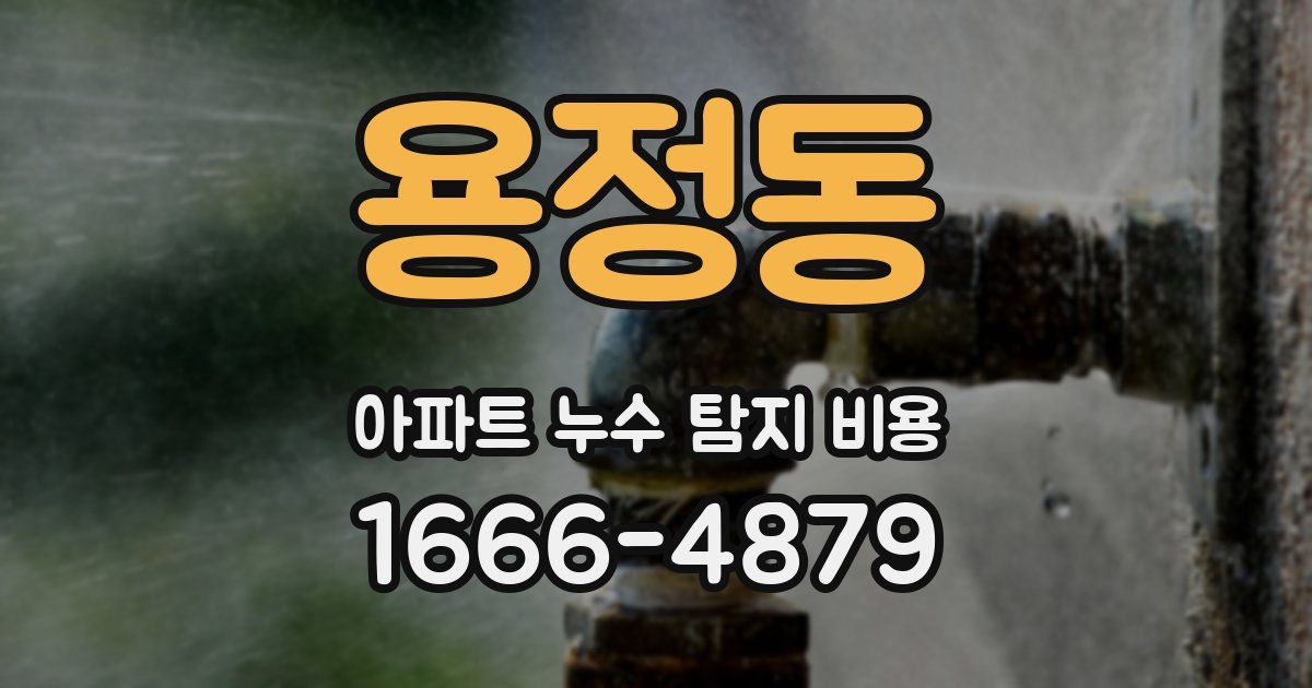 용정동 아파트 누수 탐지 비용