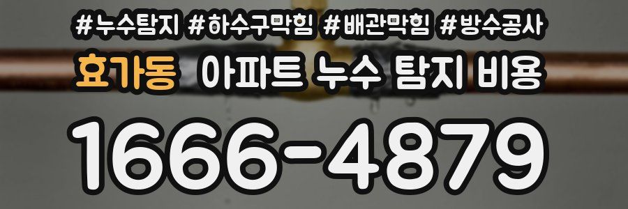 효가동 아파트 누수 탐지 비용