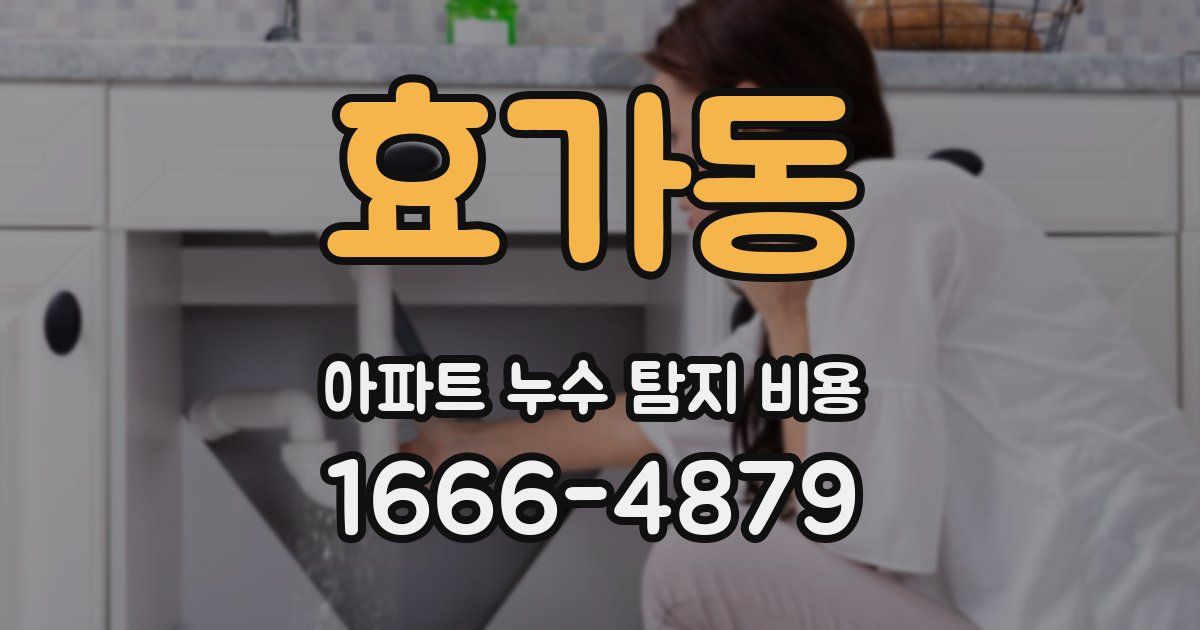 효가동 아파트 누수 탐지 비용