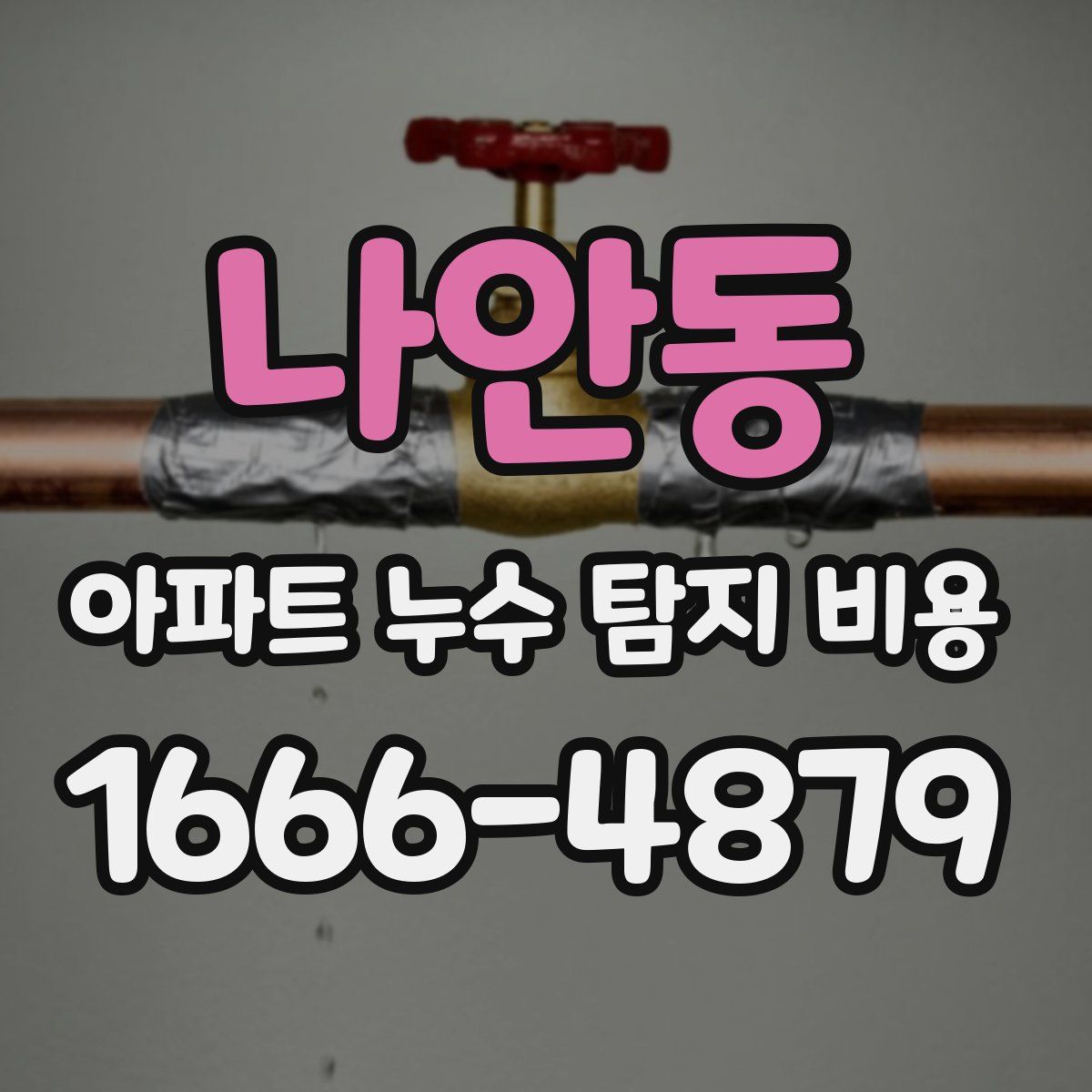 나안동 아파트 누수 탐지 비용