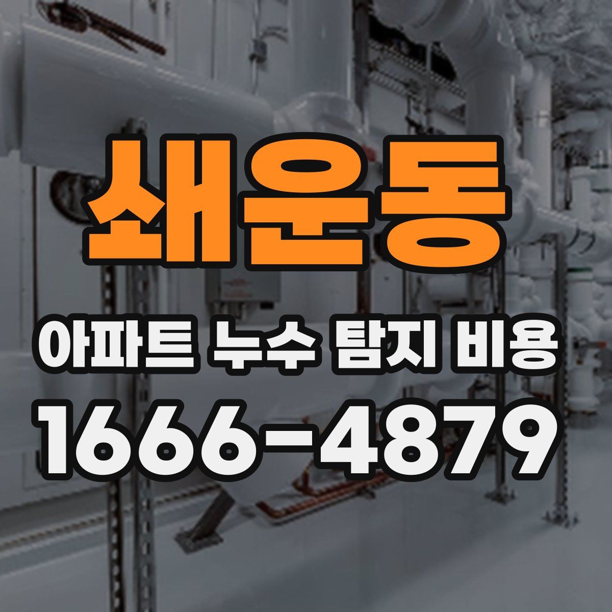 쇄운동 아파트 누수 탐지 비용