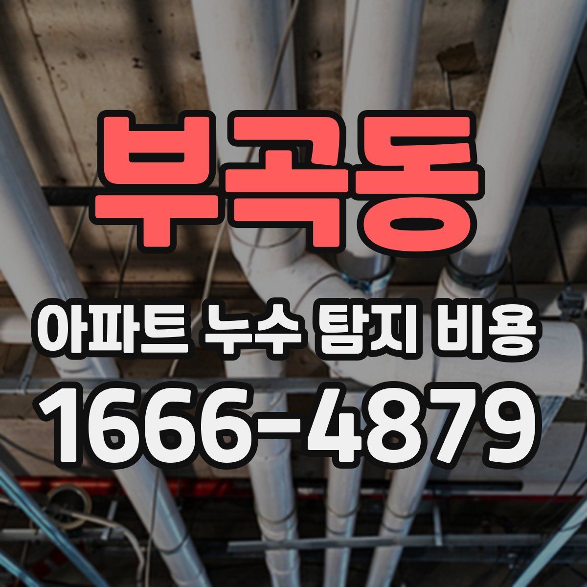 부곡동 아파트 누수 탐지 비용