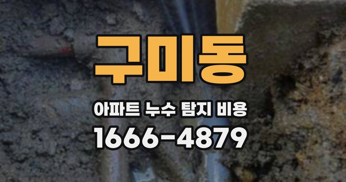 구미동 아파트 누수 탐지 비용