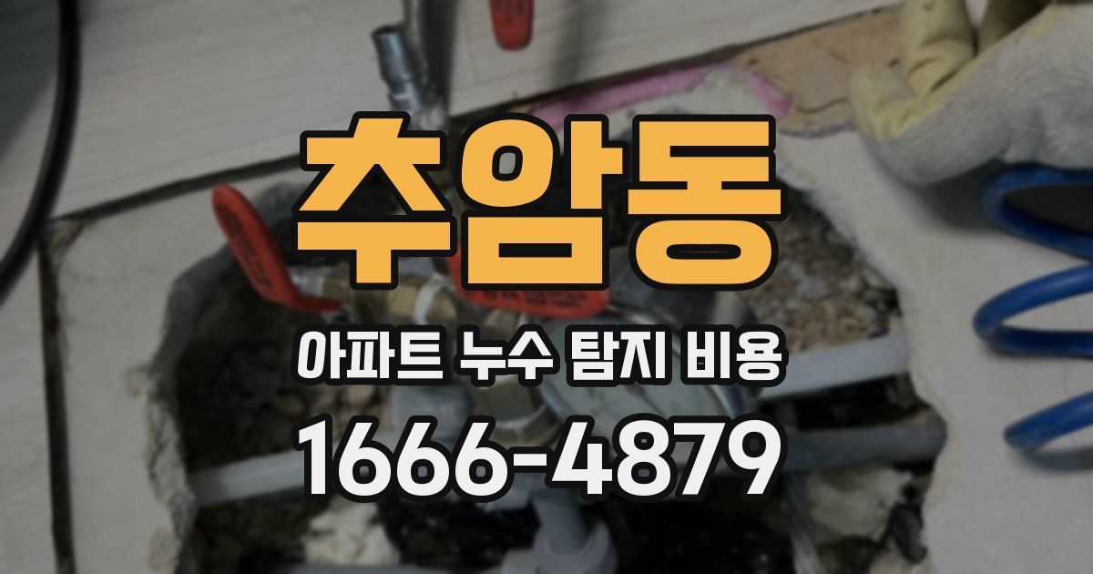 추암동 아파트 누수 탐지 비용