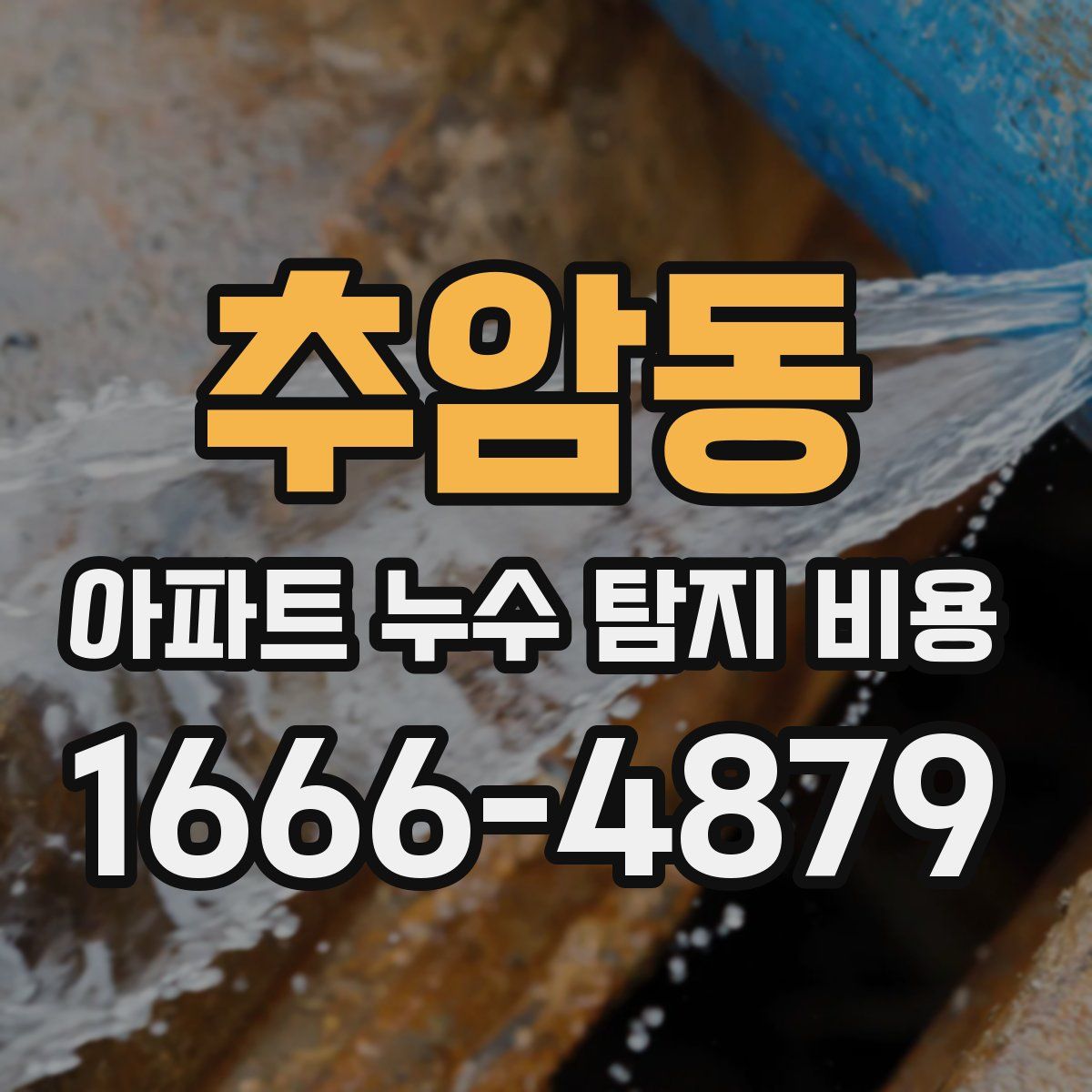 추암동 아파트 누수 탐지 비용