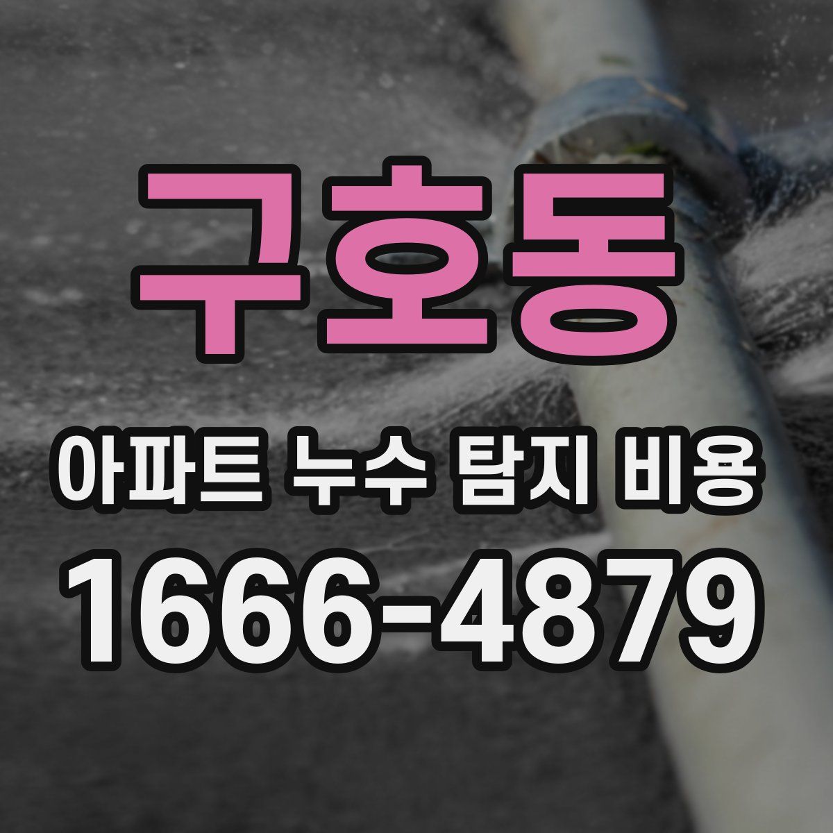 구호동 아파트 누수 탐지 비용
