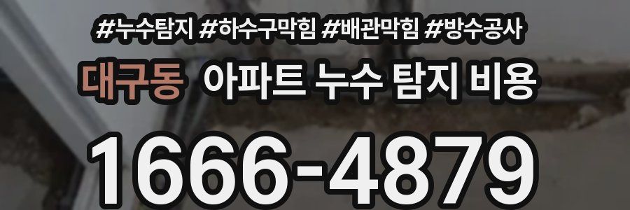 대구동 아파트 누수 탐지 비용