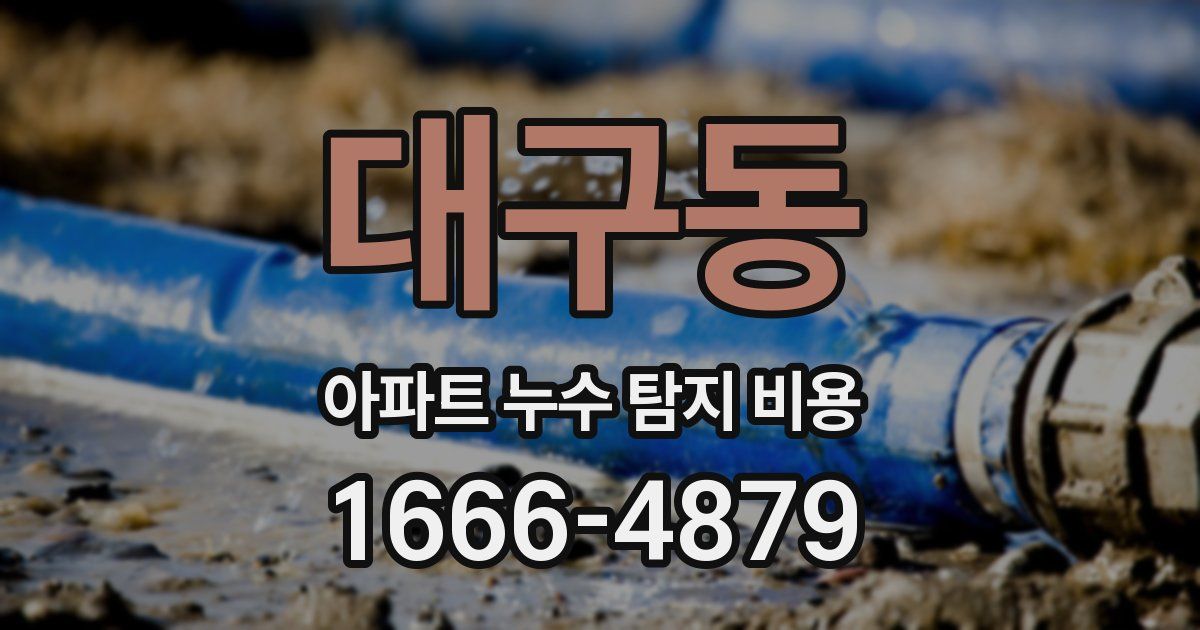 대구동 아파트 누수 탐지 비용