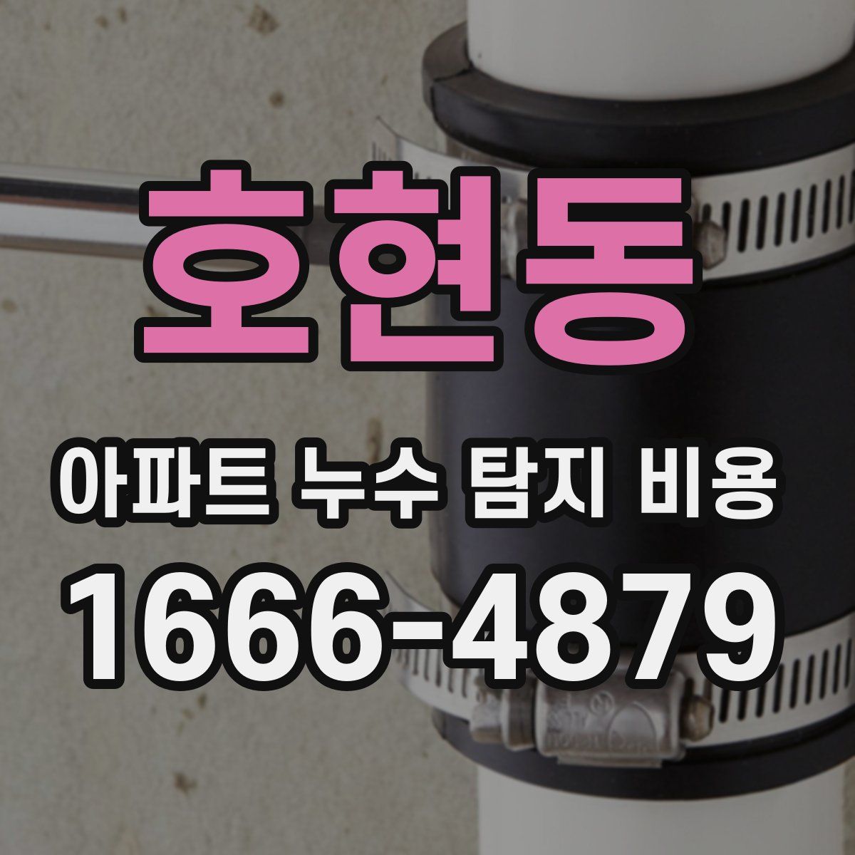 호현동 아파트 누수 탐지 비용