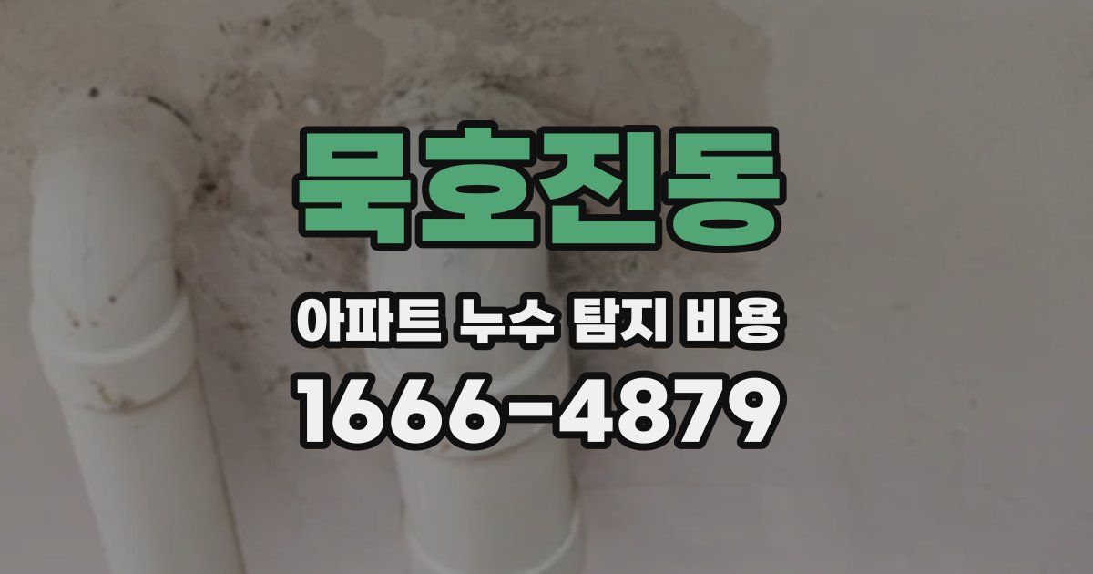 묵호진동 아파트 누수 탐지 비용