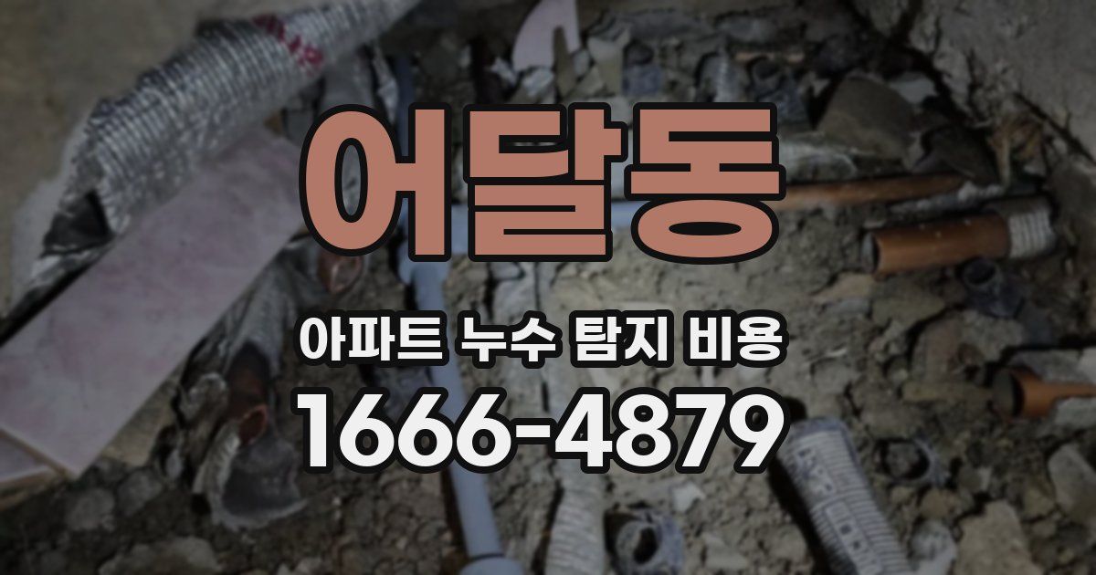 어달동 아파트 누수 탐지 비용