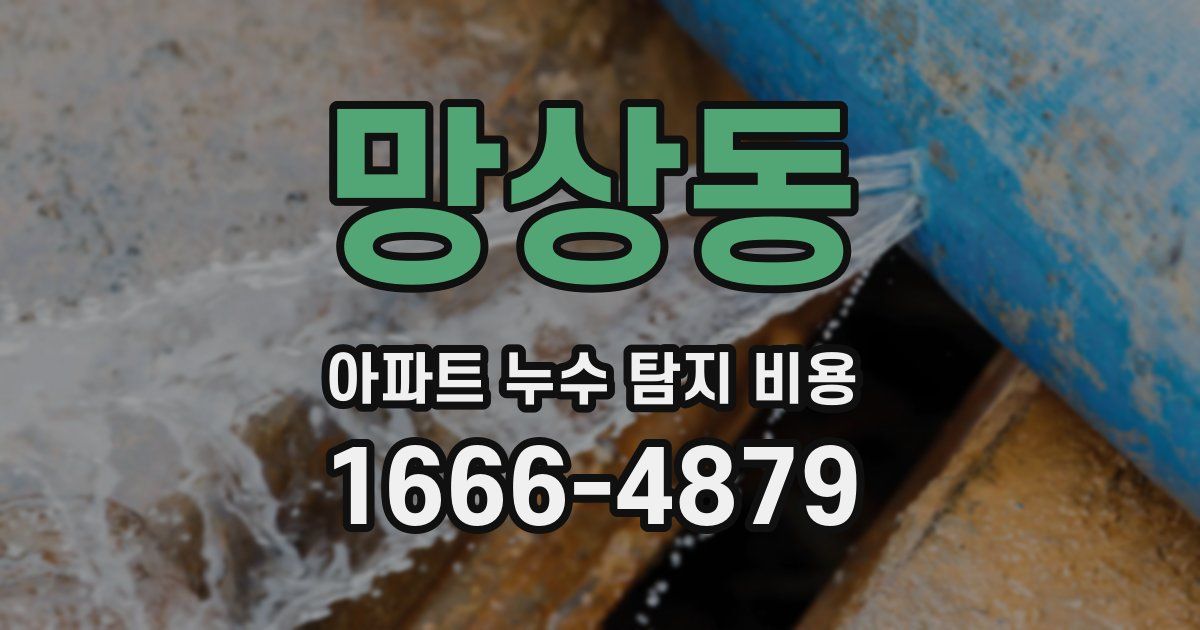 망상동 아파트 누수 탐지 비용