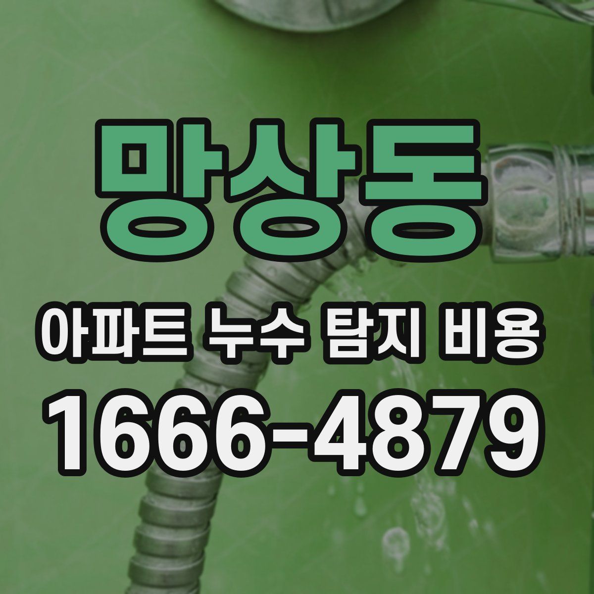 망상동 아파트 누수 탐지 비용