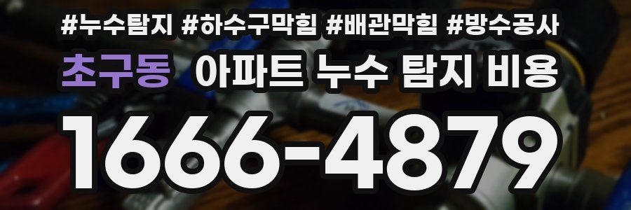 초구동 아파트 누수 탐지 비용