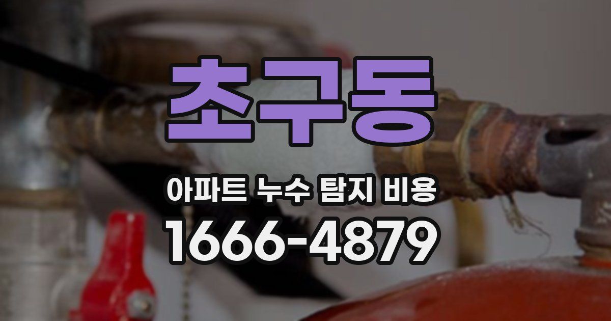 초구동 아파트 누수 탐지 비용