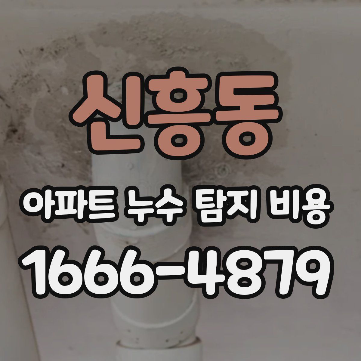 신흥동 아파트 누수 탐지 비용